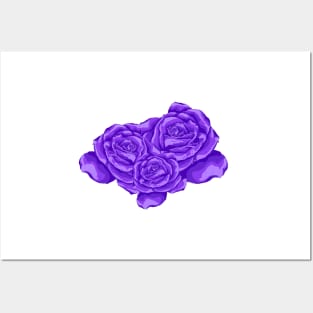 violet roses Posters and Art